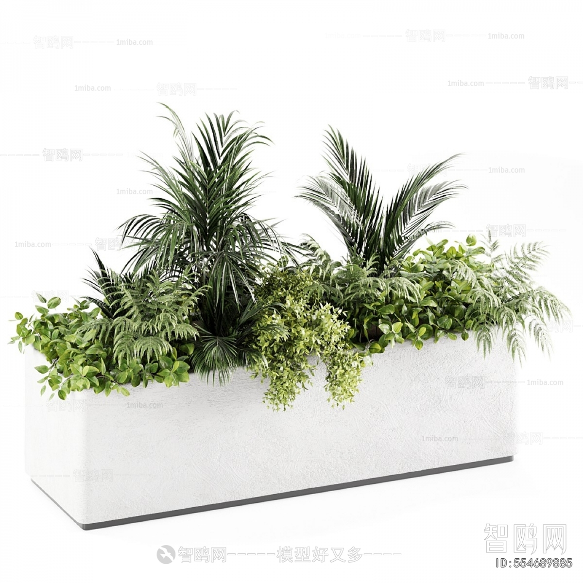 Modern Flower Bed, Flower Bowl, Flower Box