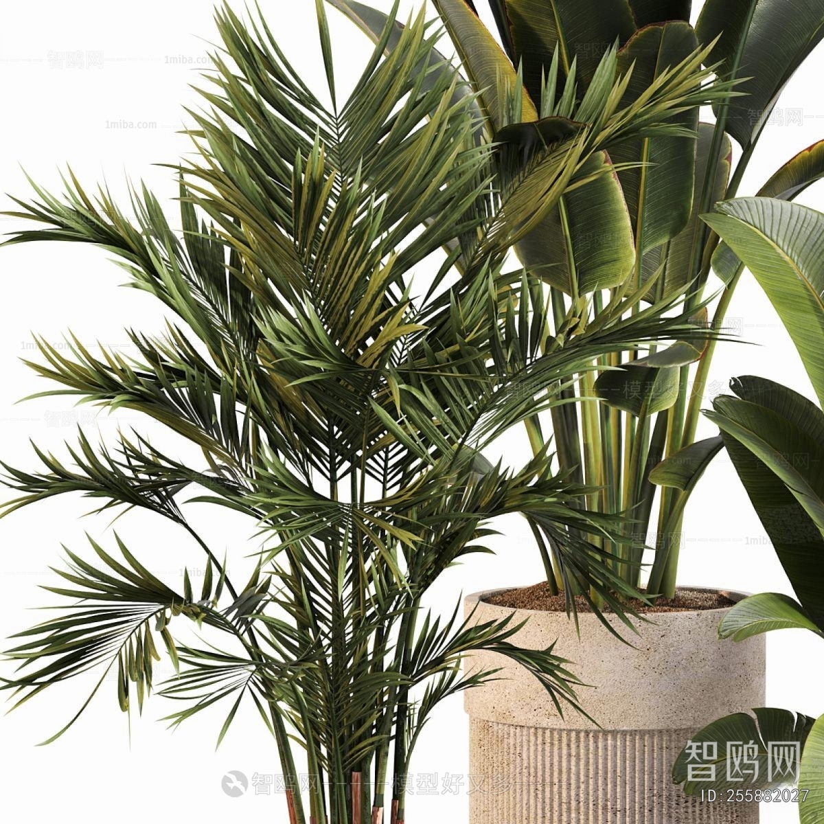 Modern Ground Green Plant Potted Plants