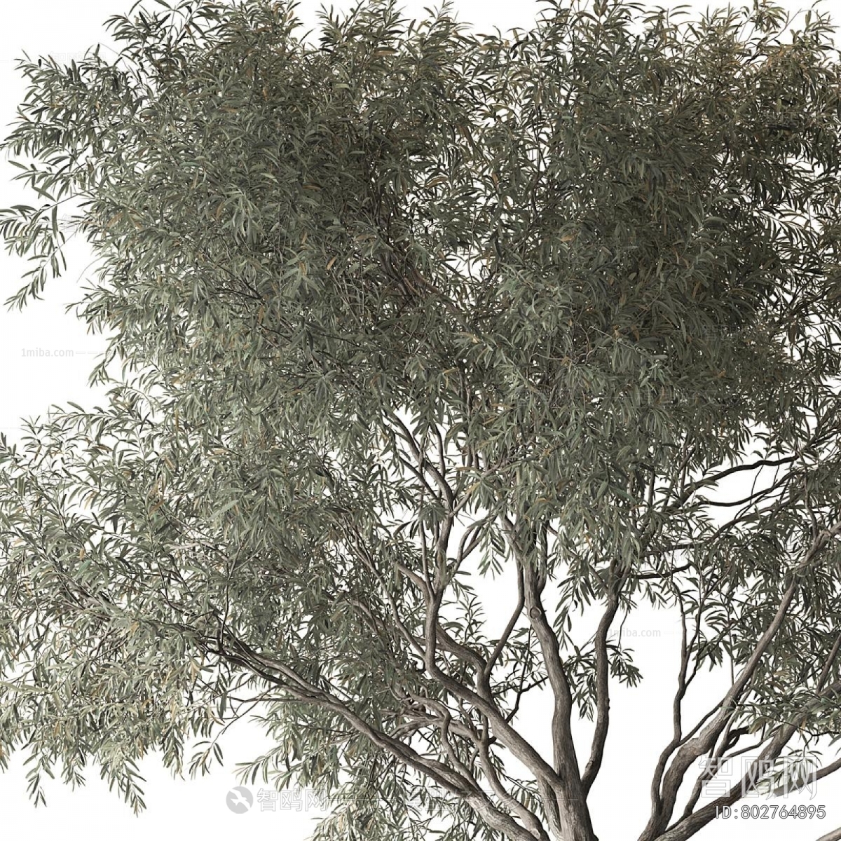 Modern Tree