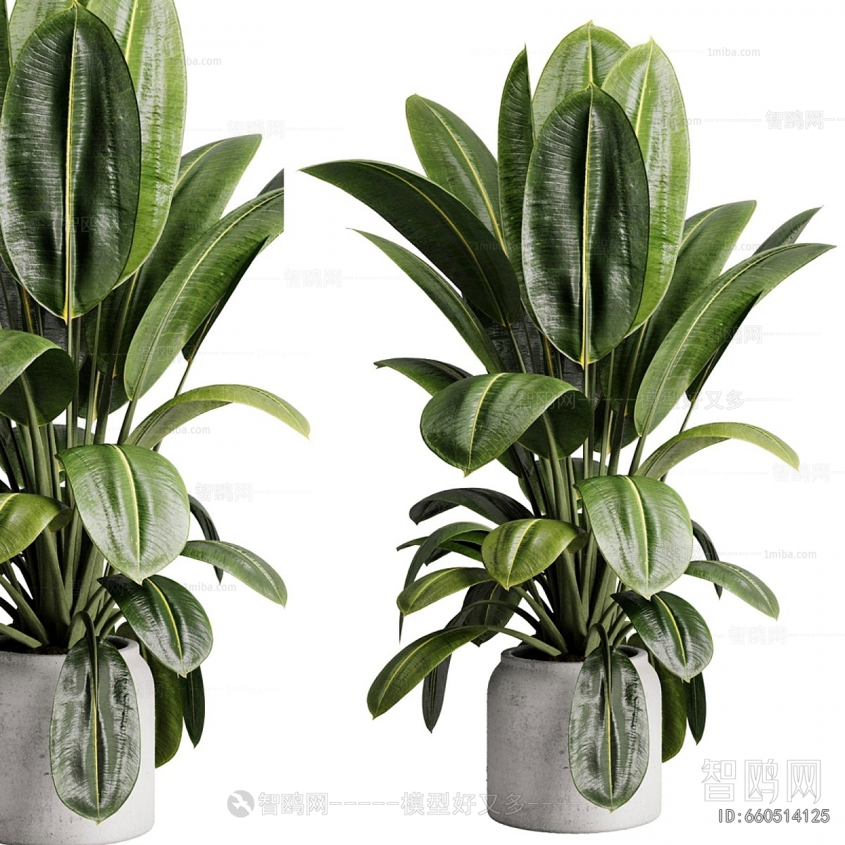 Modern Ground Green Plant Potted Plants