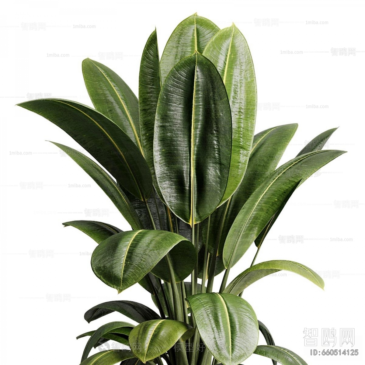Modern Ground Green Plant Potted Plants