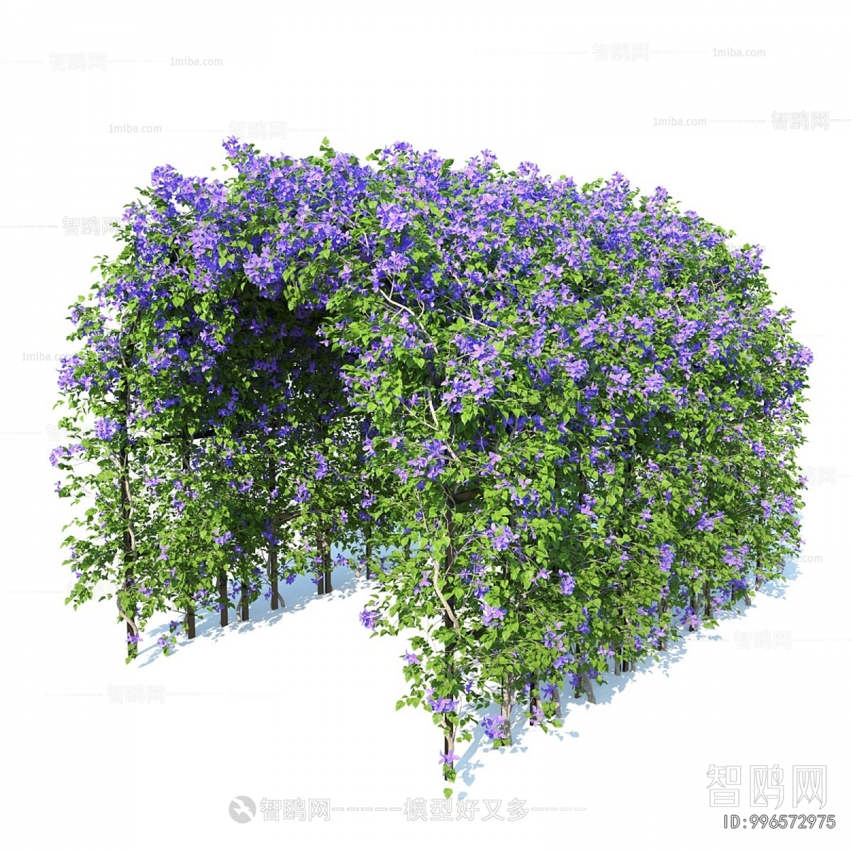 Modern Shrubbery