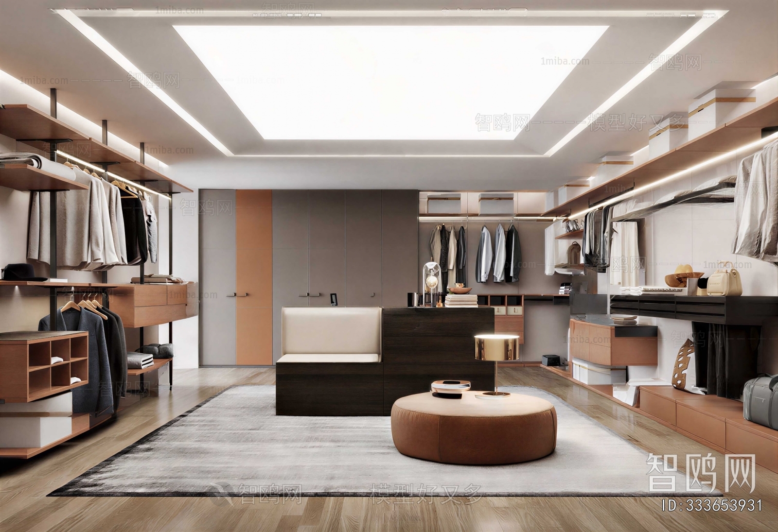Modern Clothes Storage Area