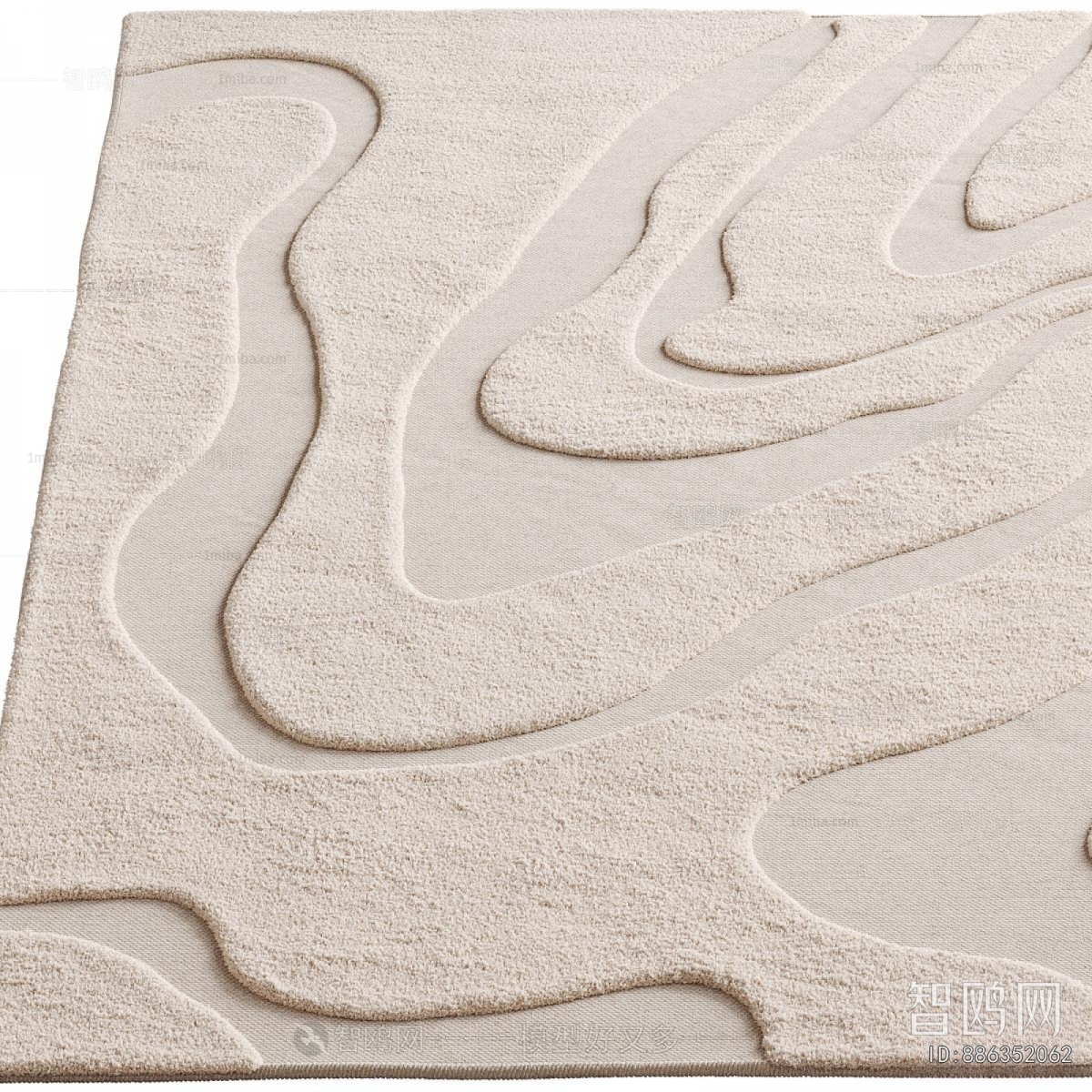 Modern The Carpet