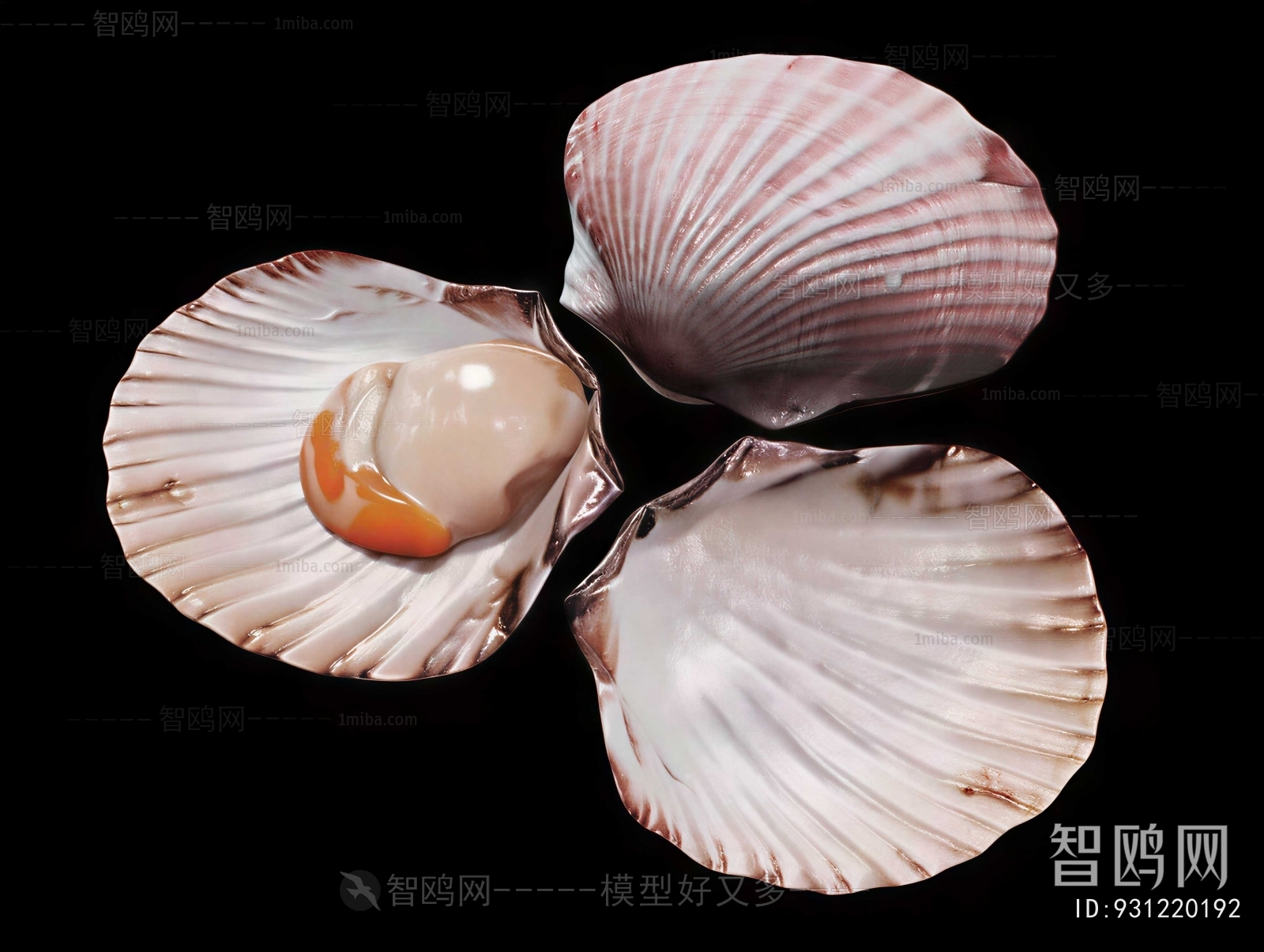 Modern Aquatic Animals