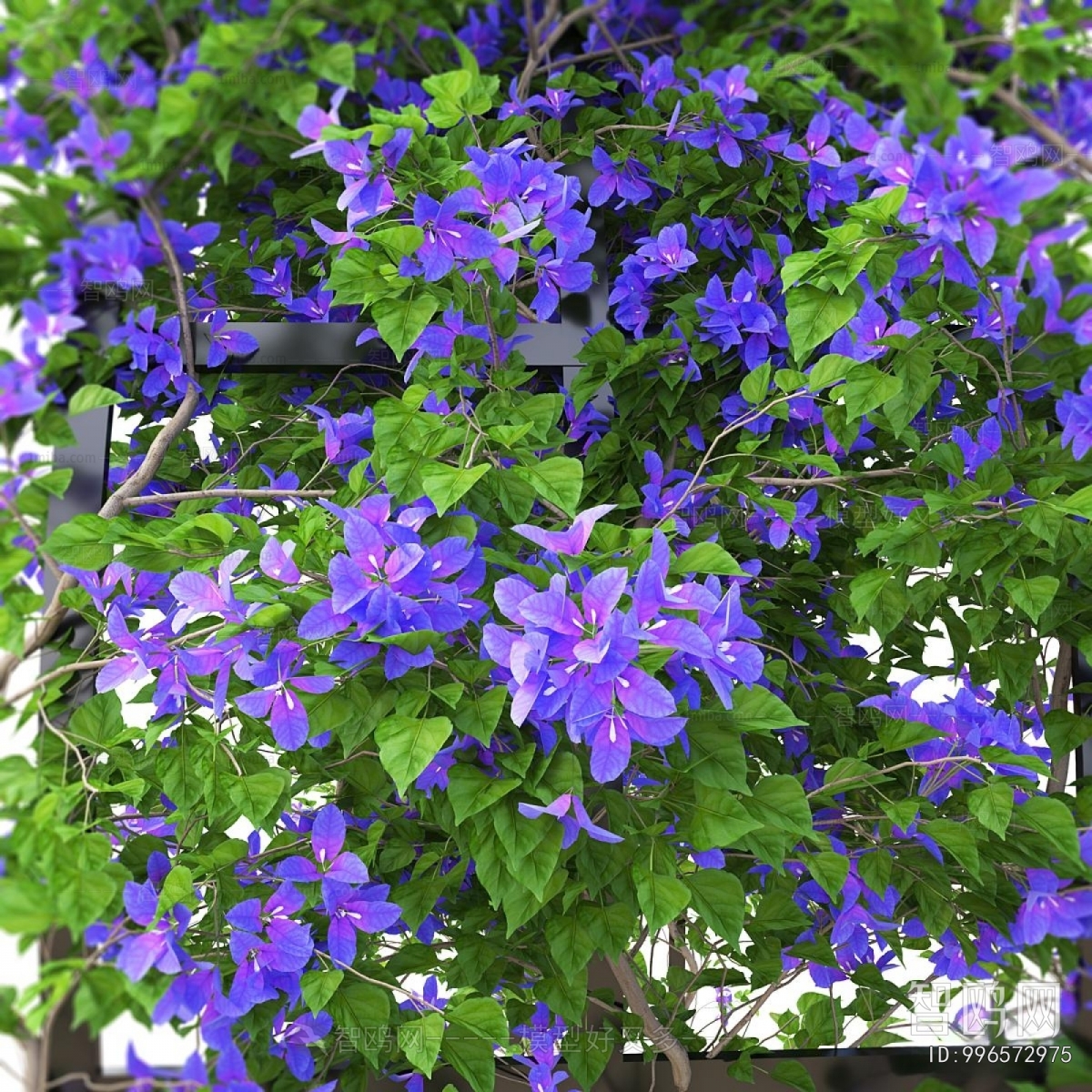 Modern Shrubbery