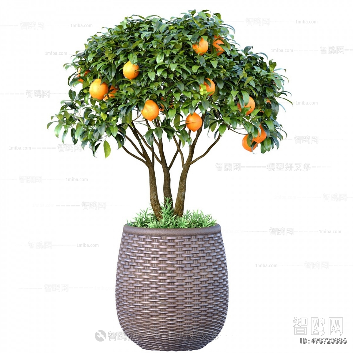 Modern Ground Green Plant Potted Plants