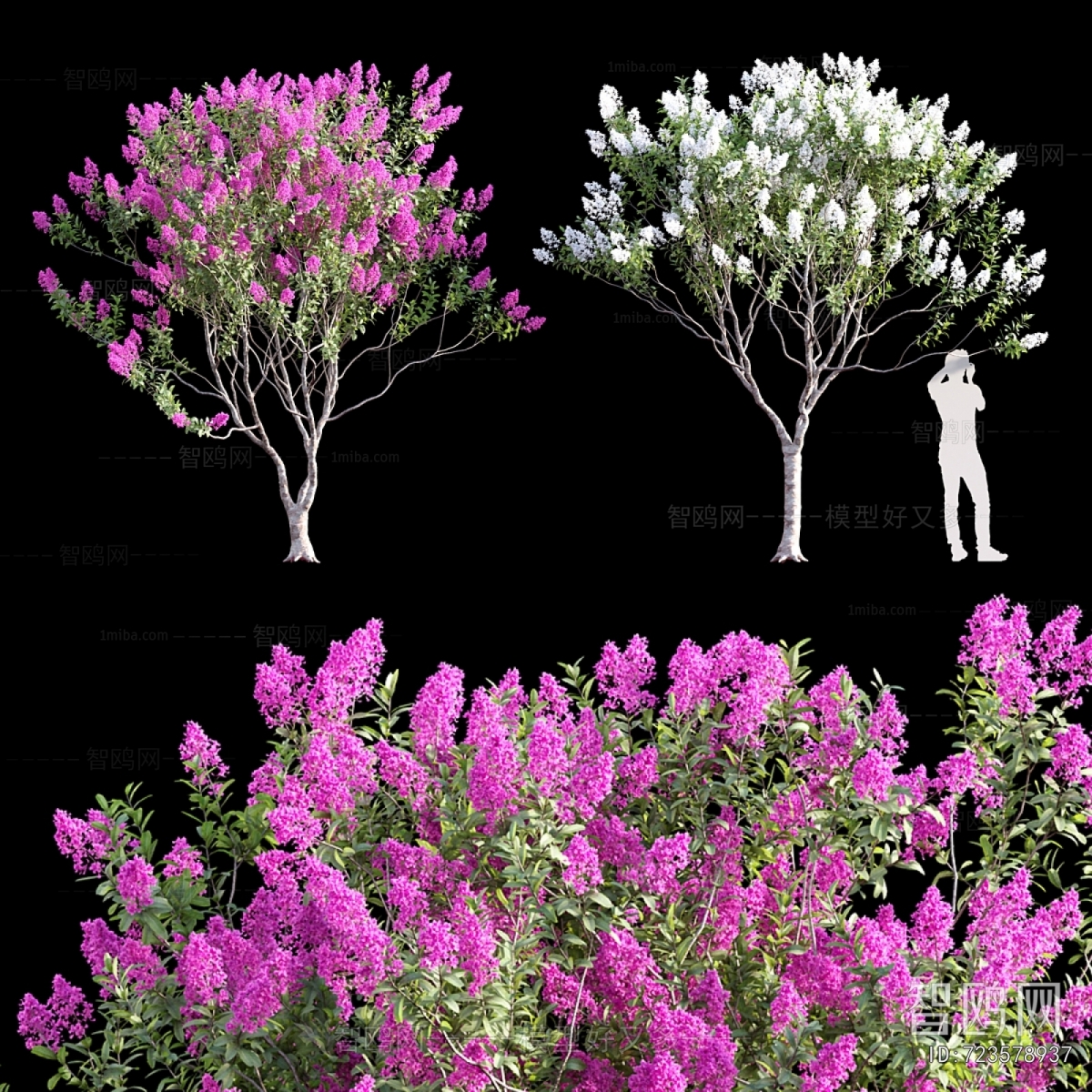 Modern Tree