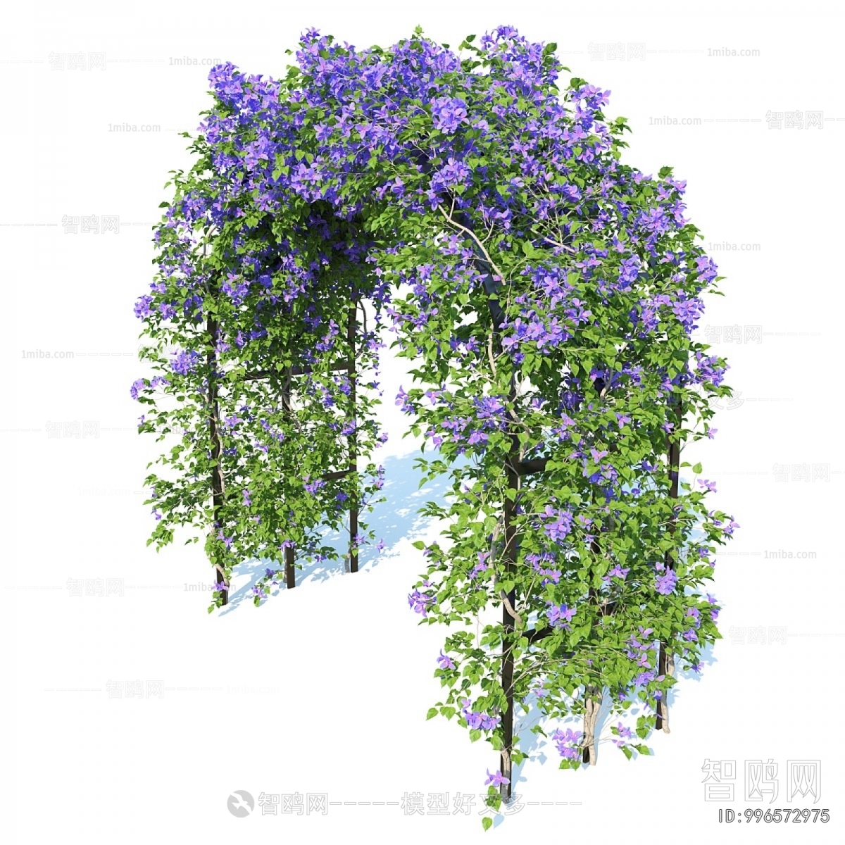 Modern Shrubbery