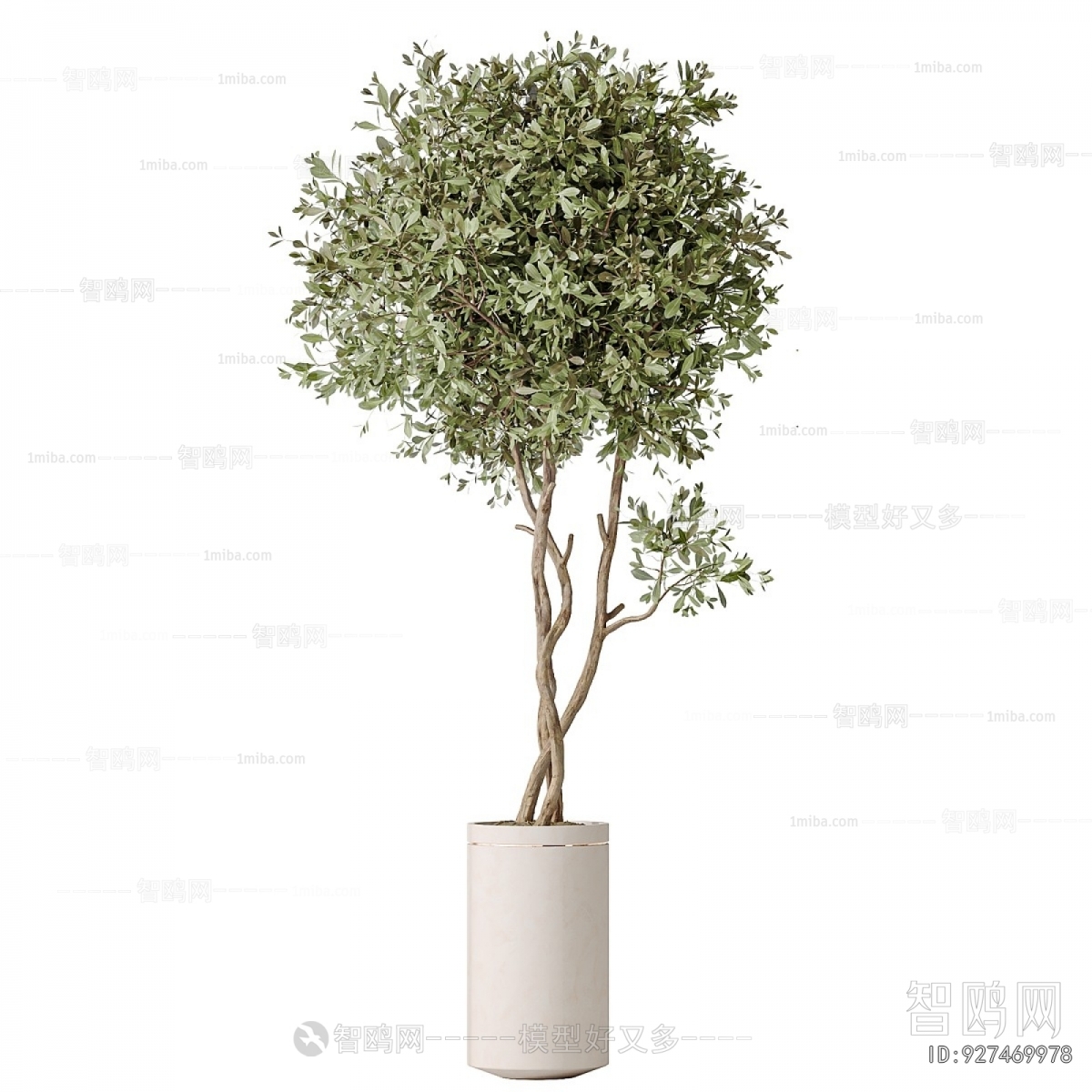 Modern Potted Green Plant