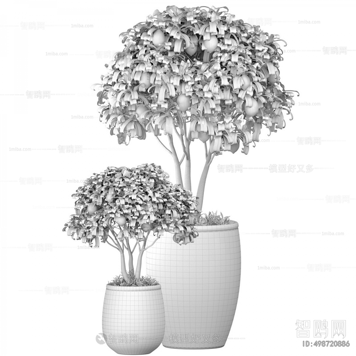 Modern Ground Green Plant Potted Plants