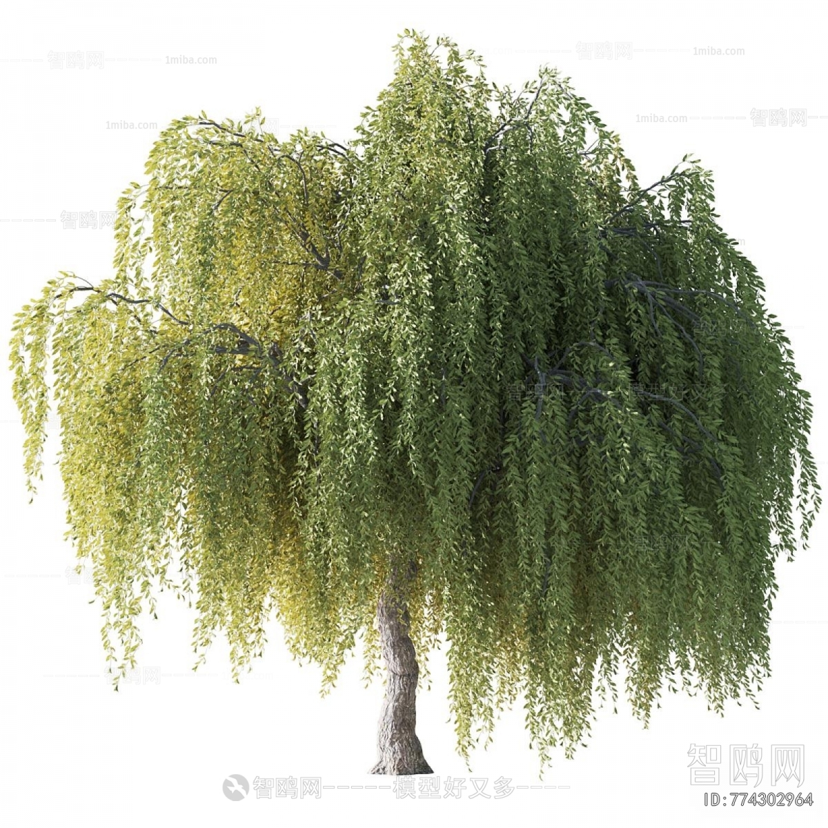 Modern Tree