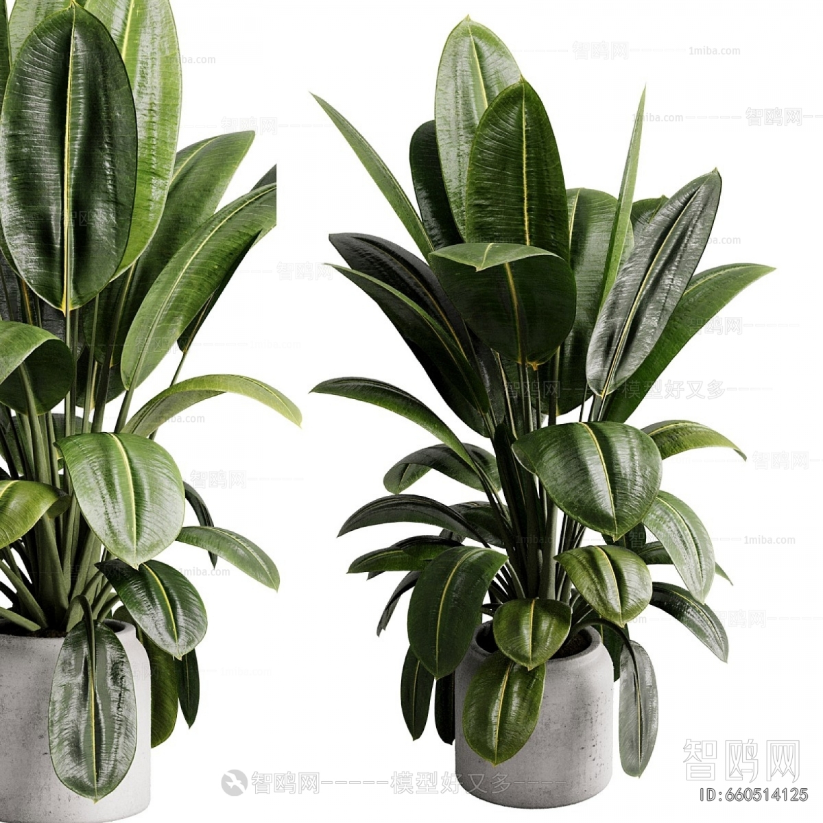 Modern Ground Green Plant Potted Plants