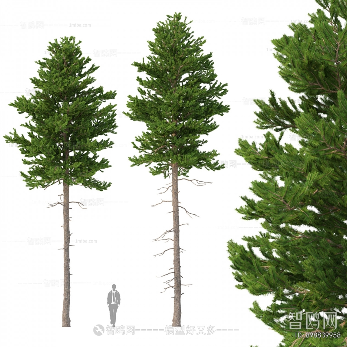 Modern Tree