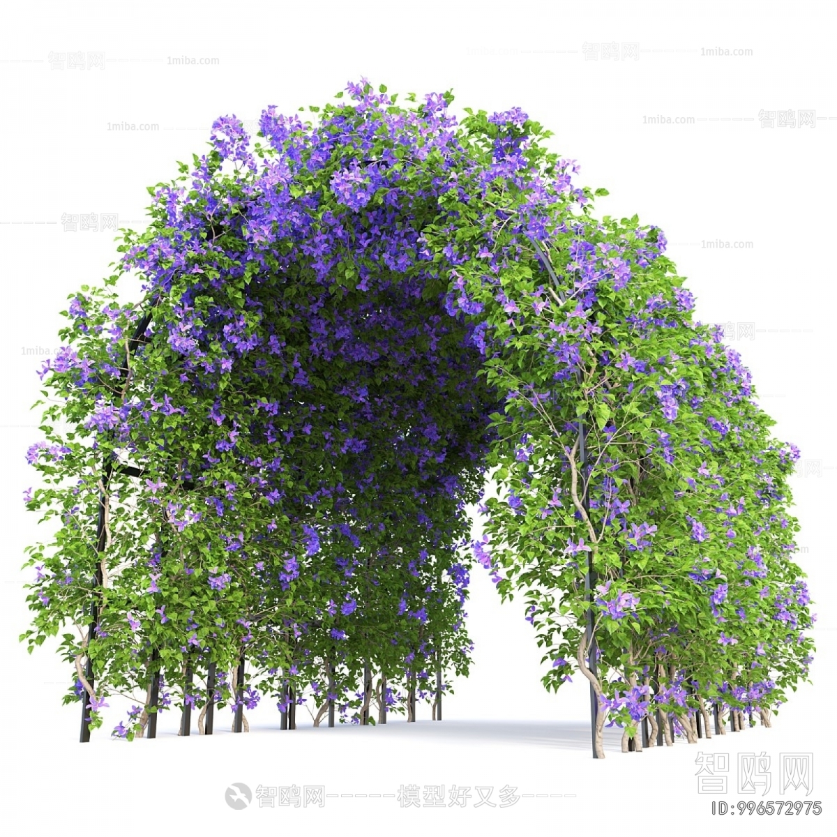 Modern Shrubbery
