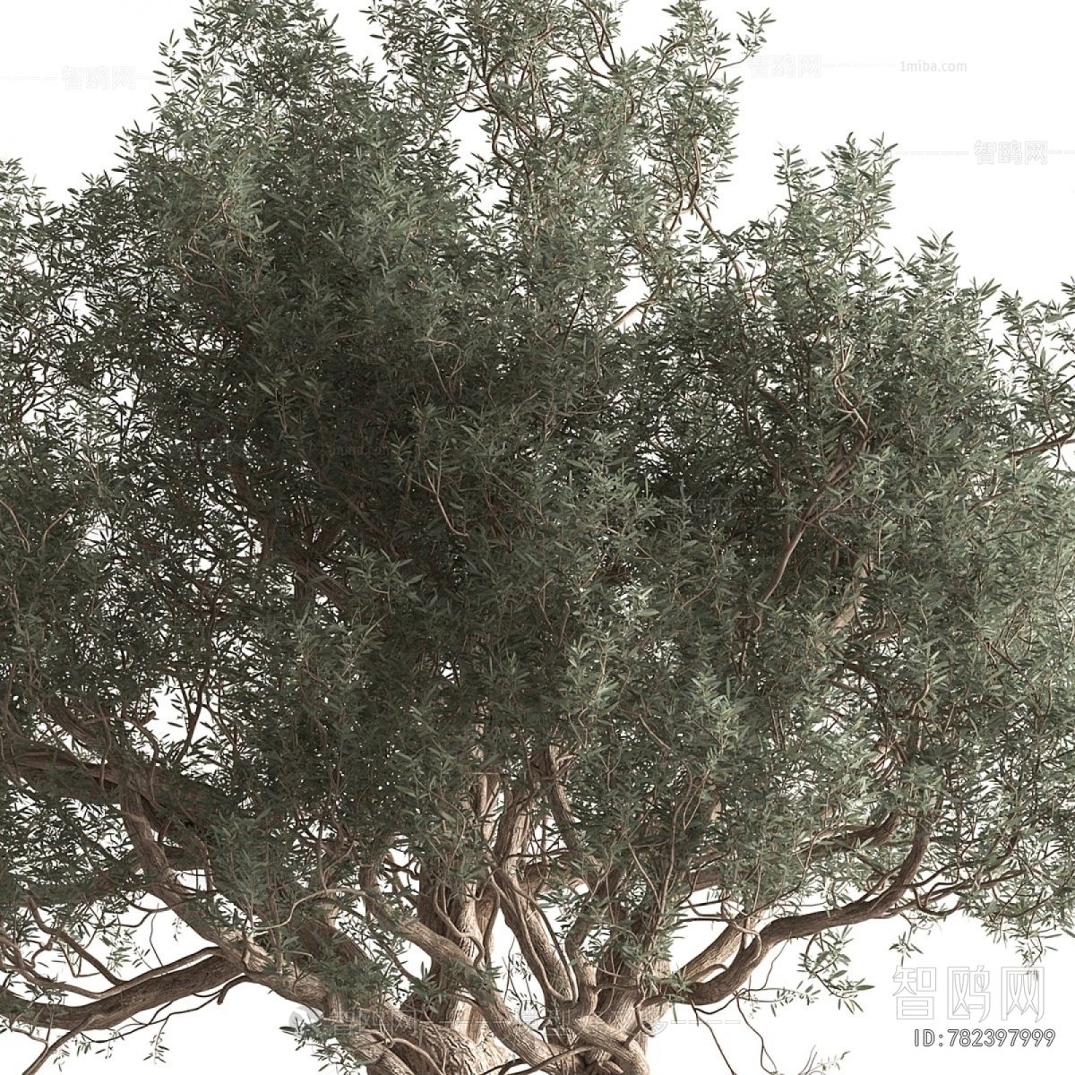 Modern Tree