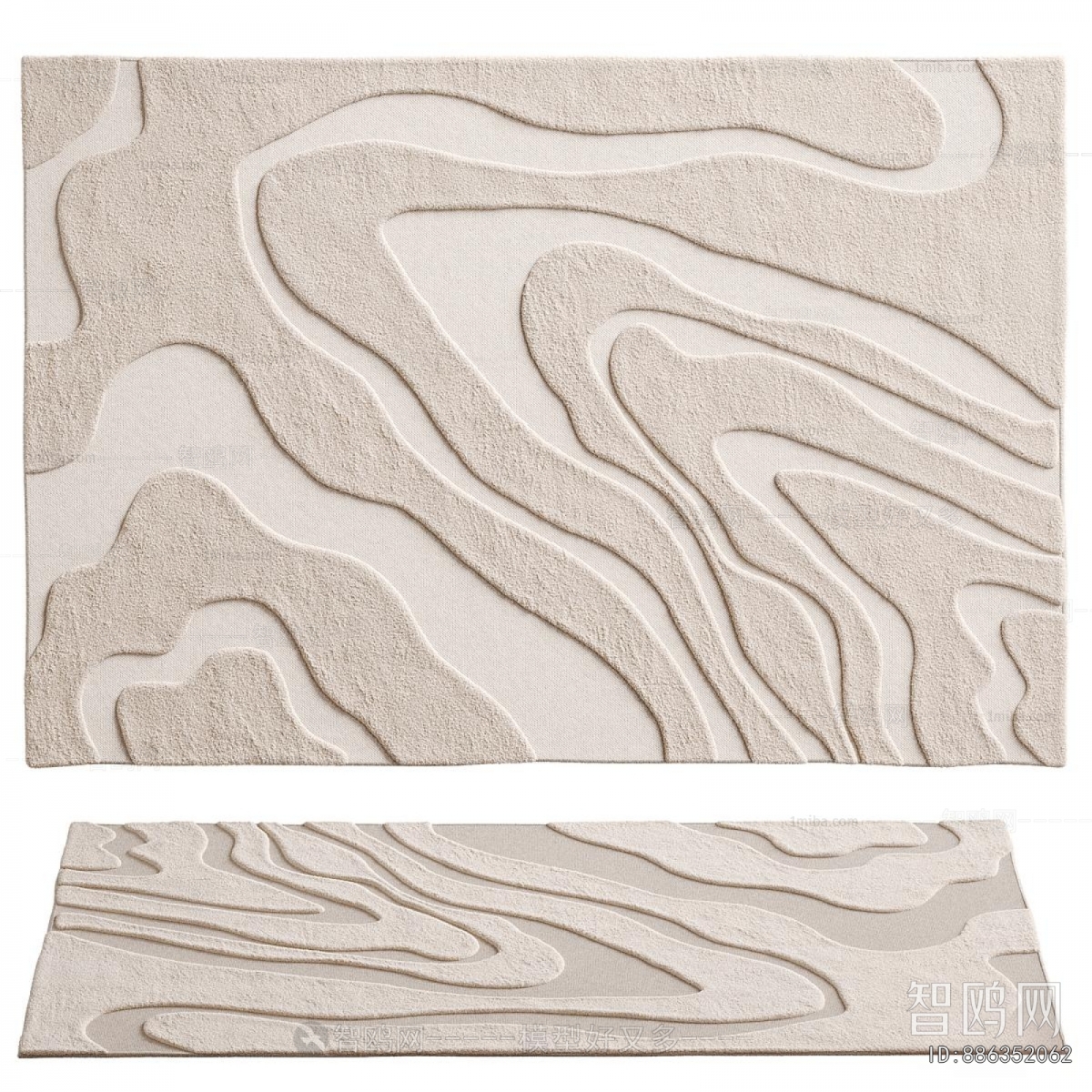Modern The Carpet