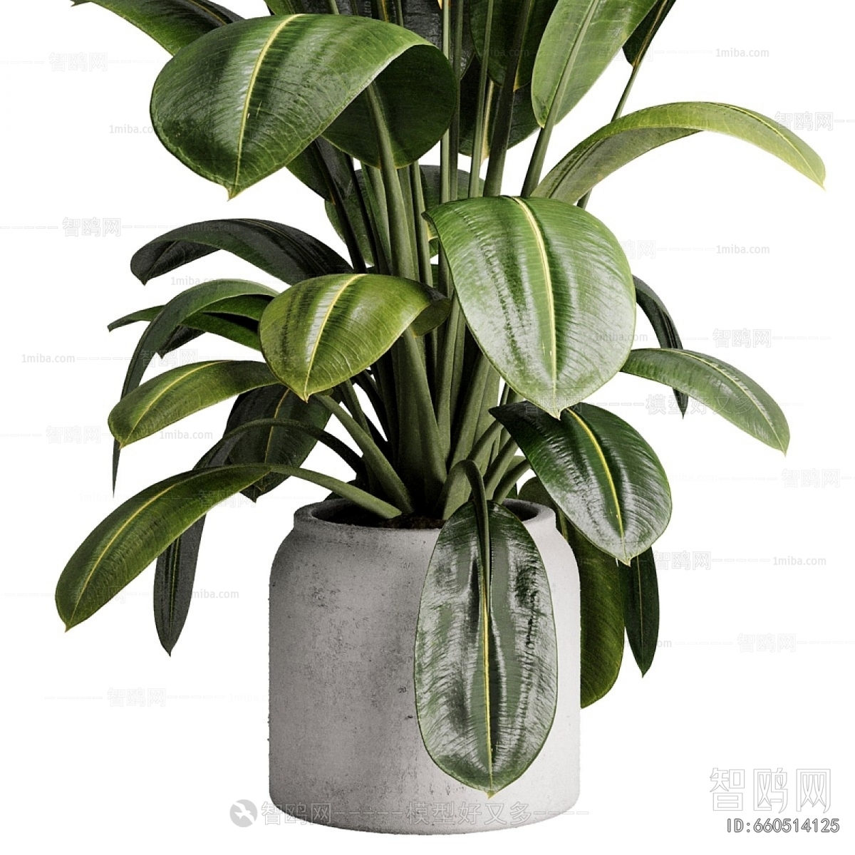 Modern Ground Green Plant Potted Plants
