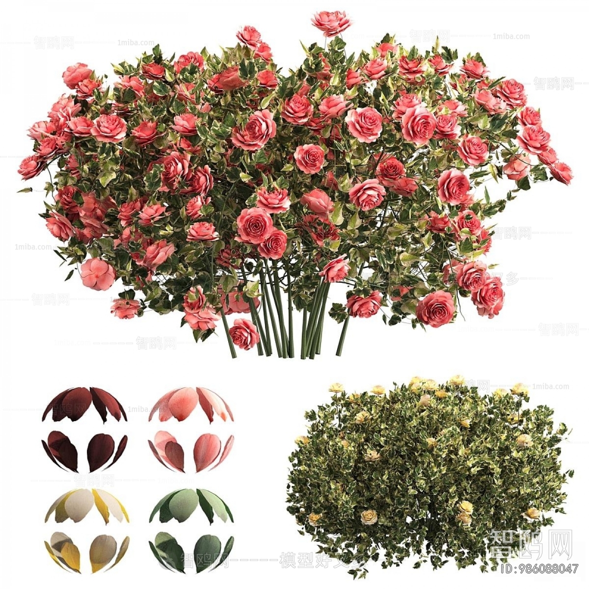 Modern Flowers And Grass