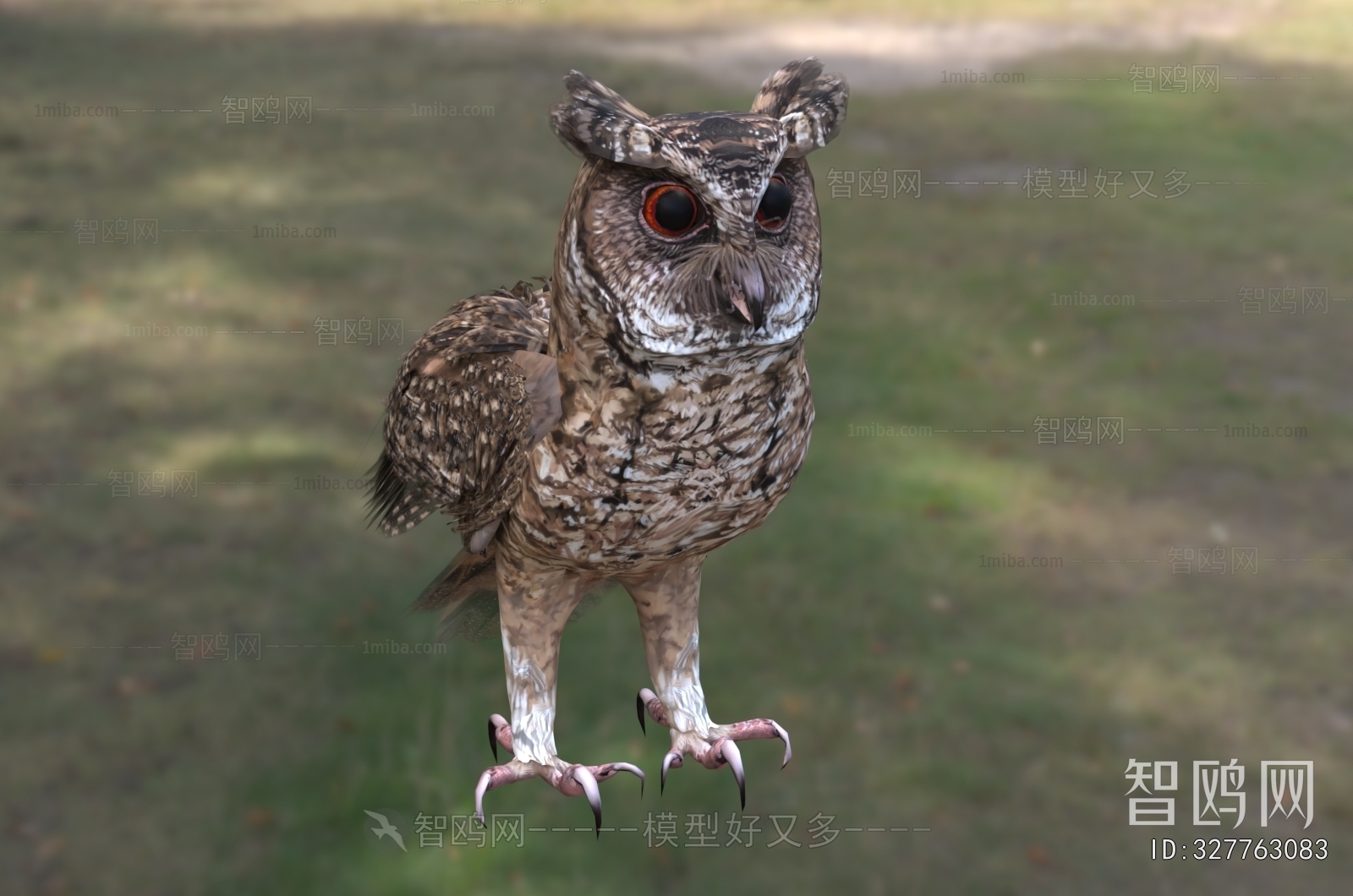 Modern Flying Animals