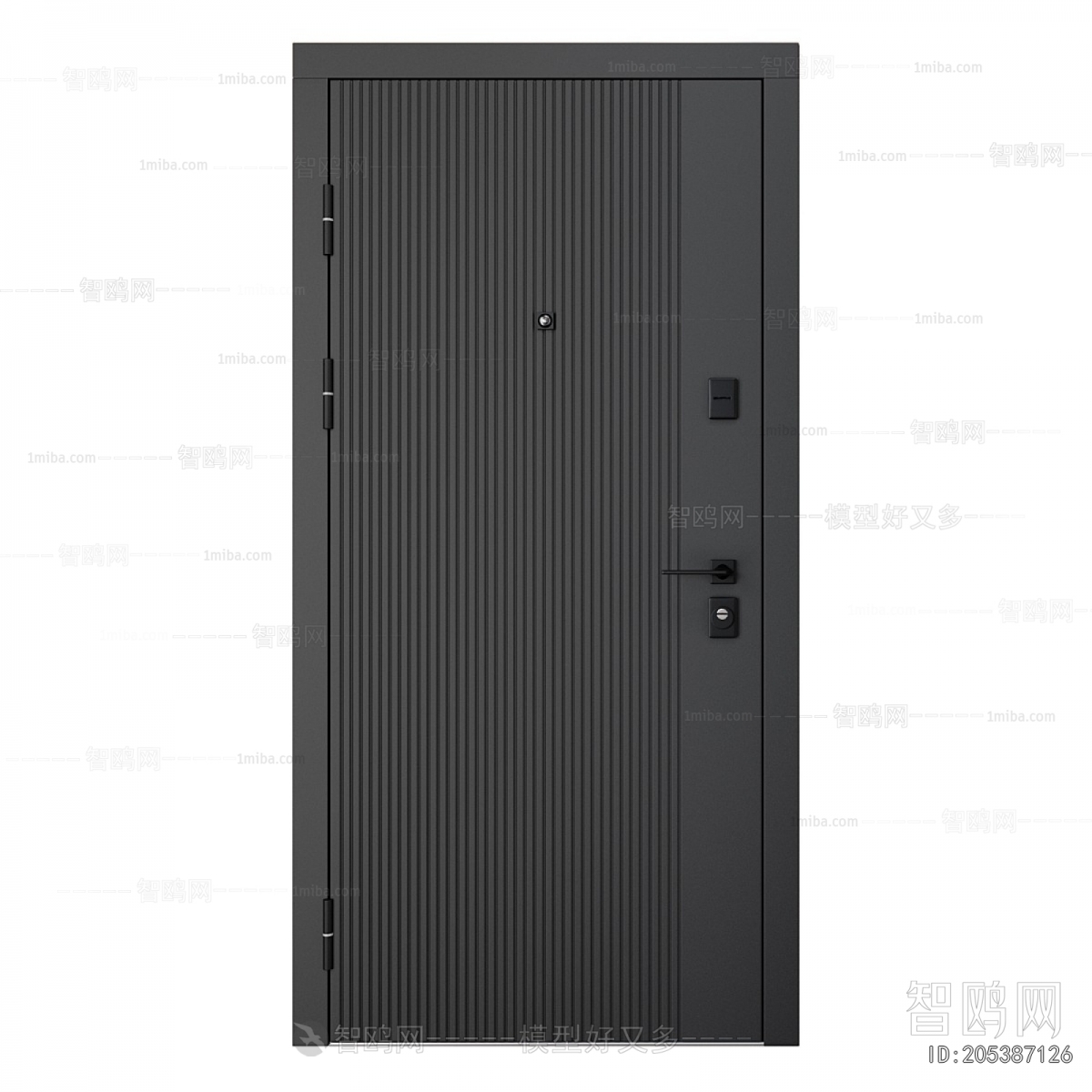 Modern Entrance Door
