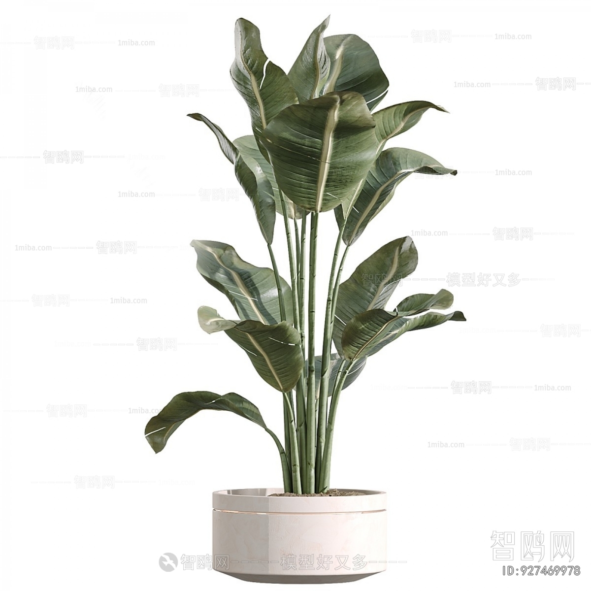 Modern Potted Green Plant