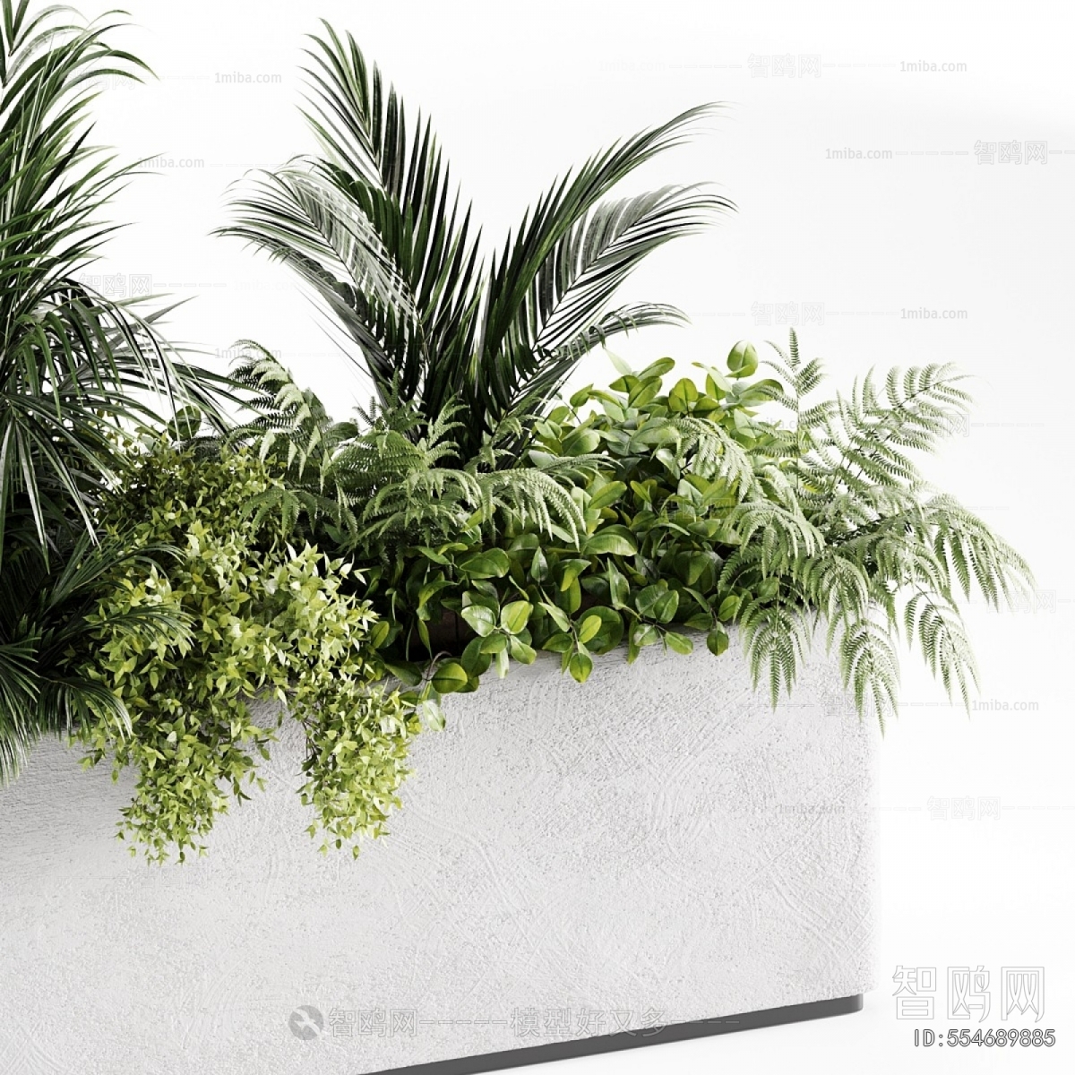 Modern Flower Bed, Flower Bowl, Flower Box