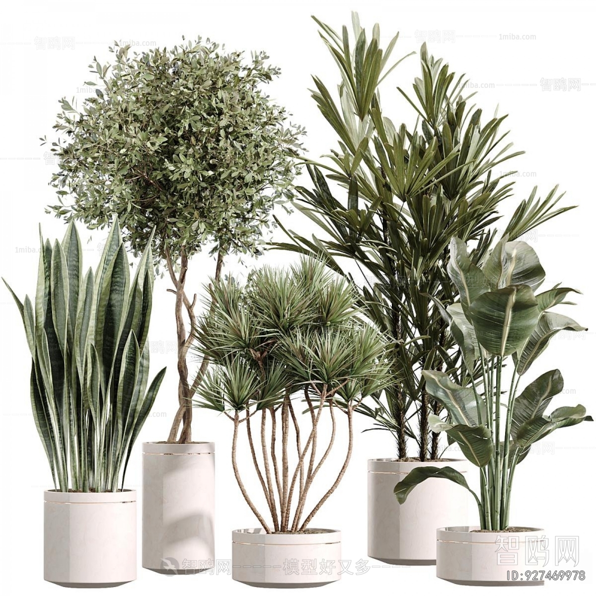 Modern Potted Green Plant