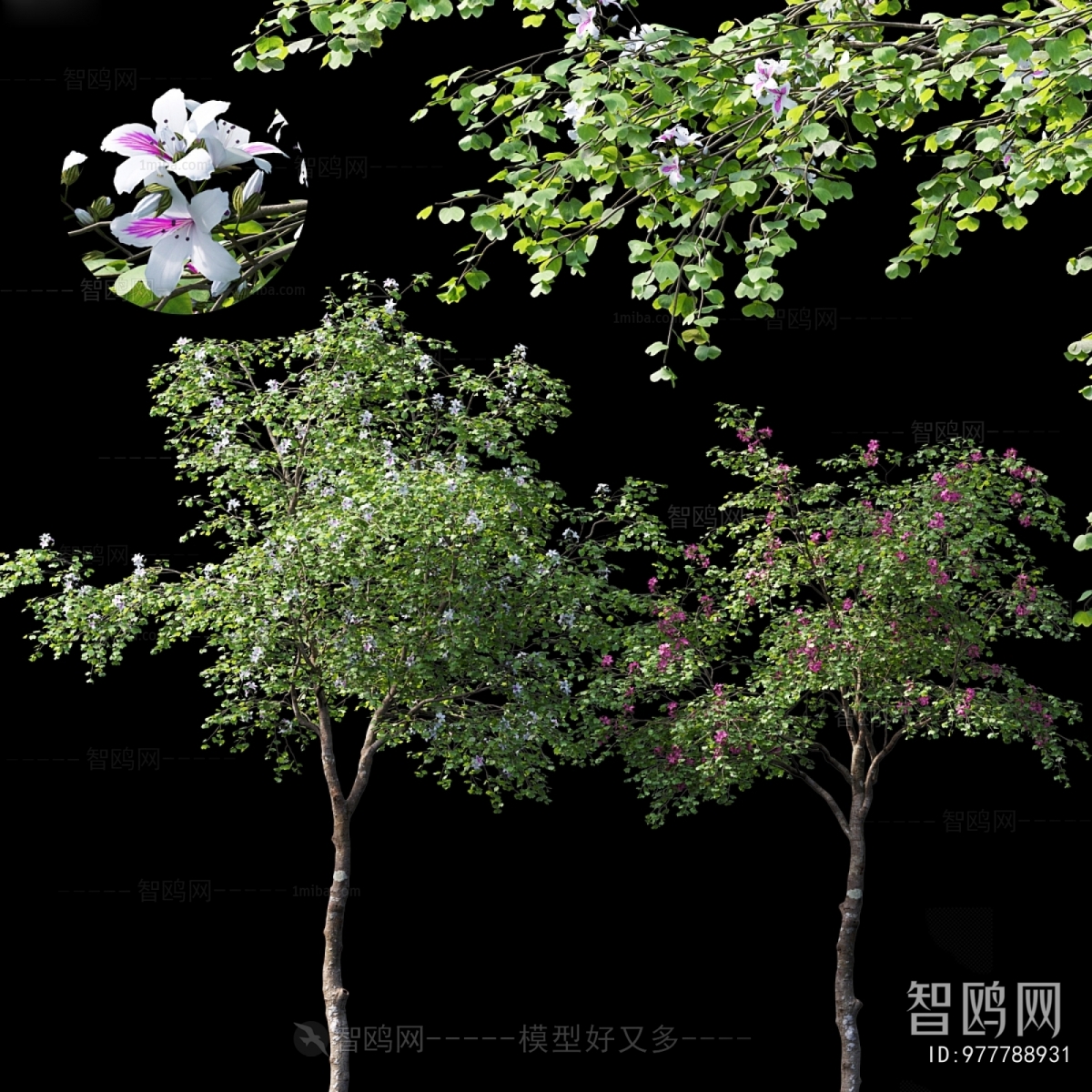 Modern Tree