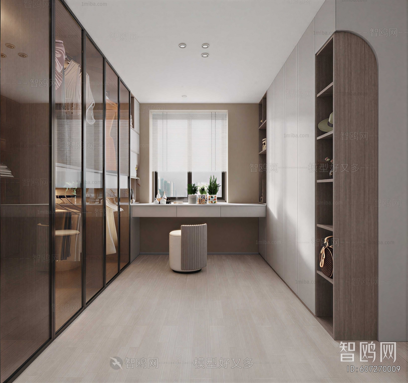 Modern Clothes Storage Area