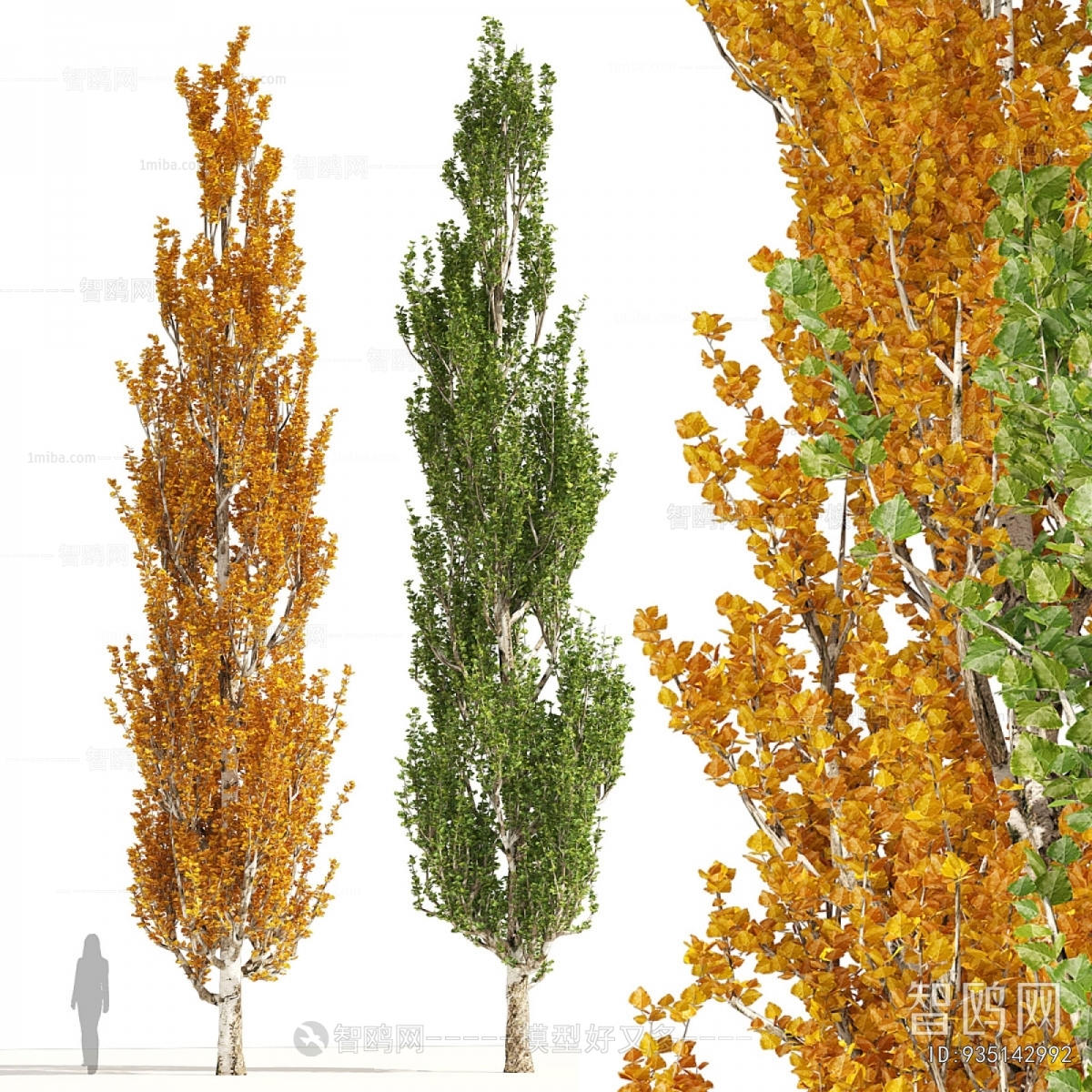 Modern Tree