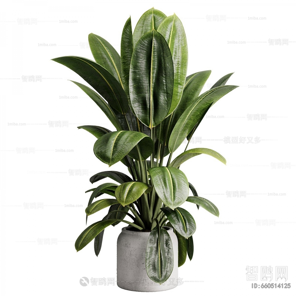 Modern Ground Green Plant Potted Plants