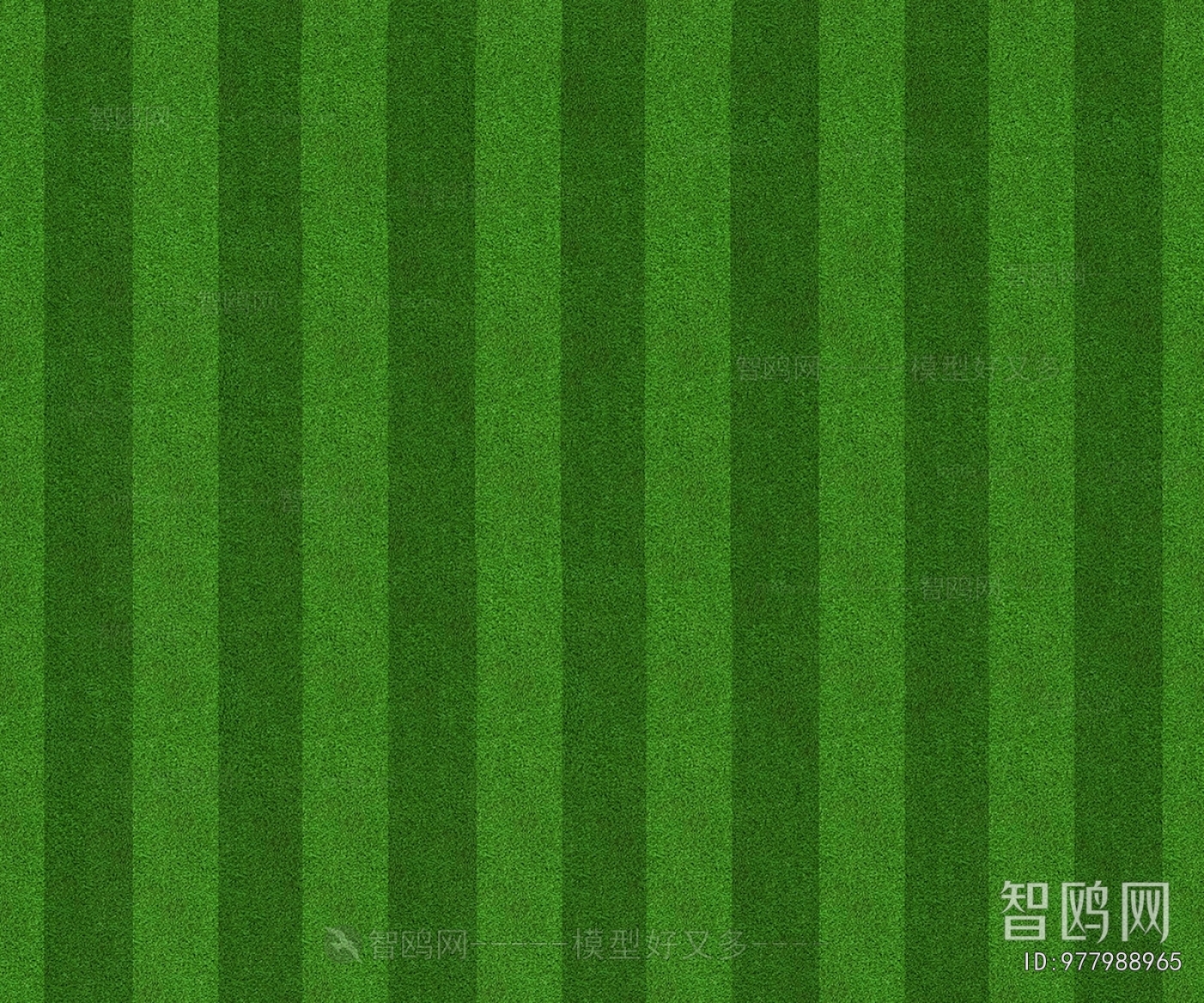 Grass