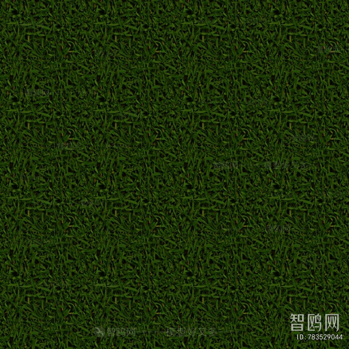 Grass