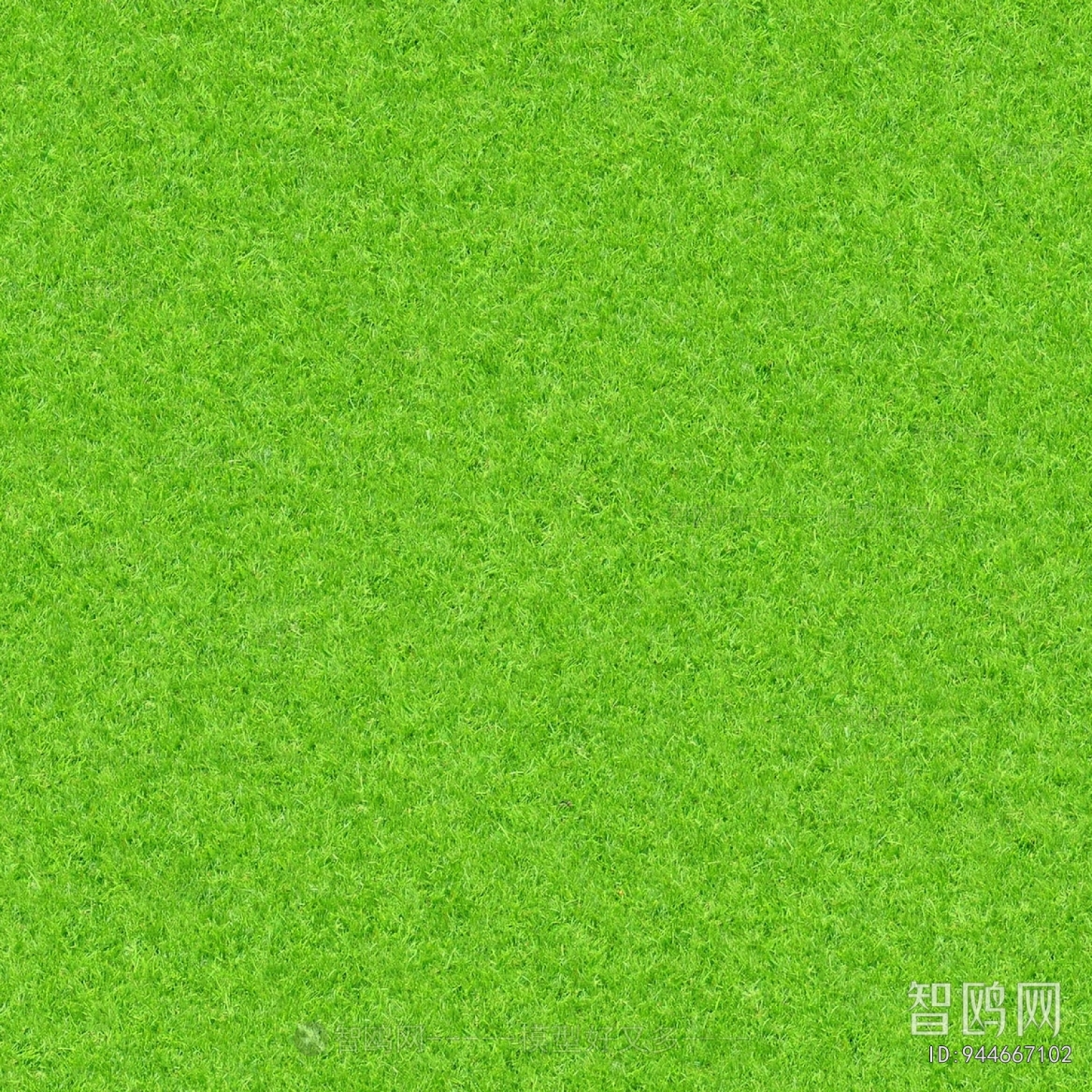 Grass