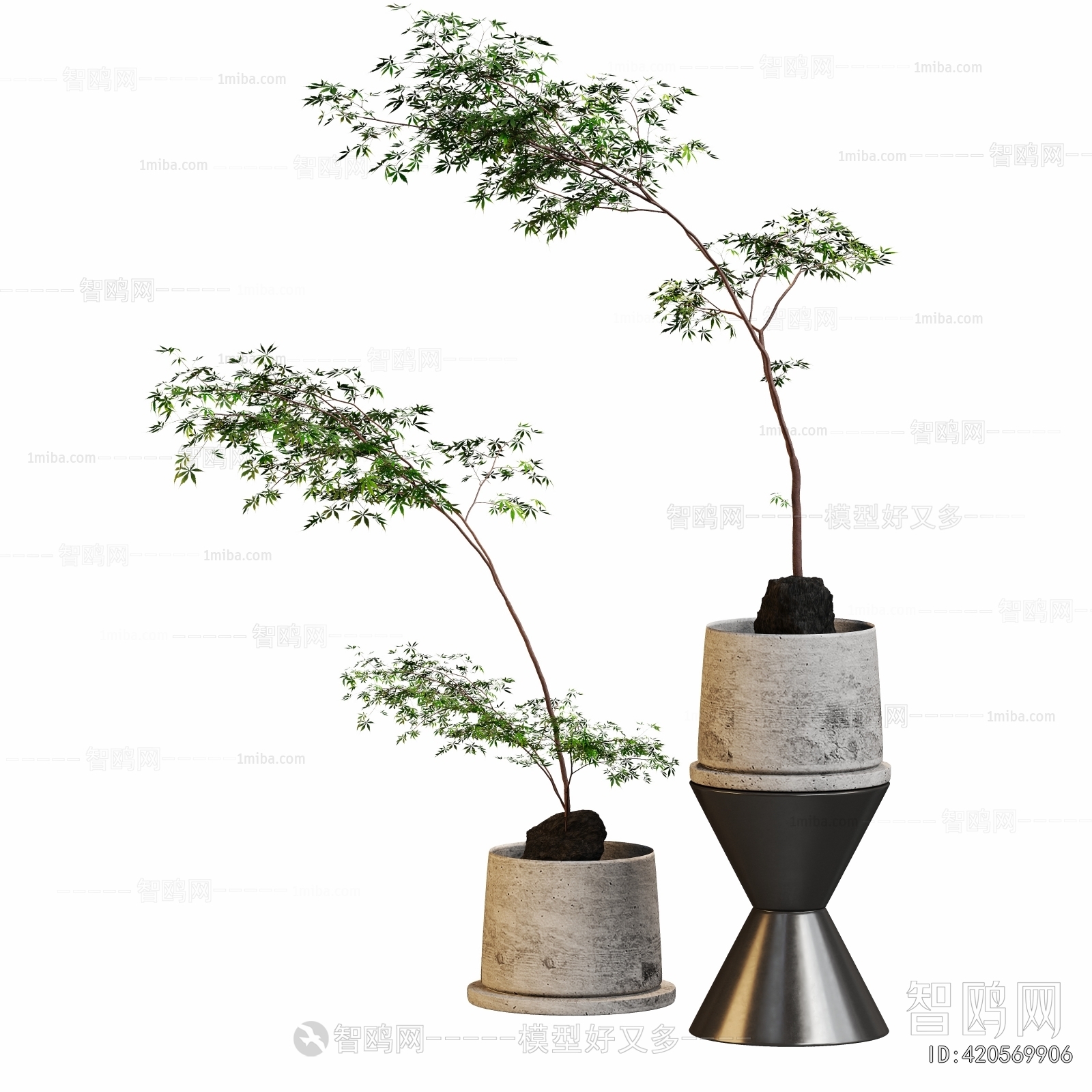 Modern Ground Green Plant Potted Plants