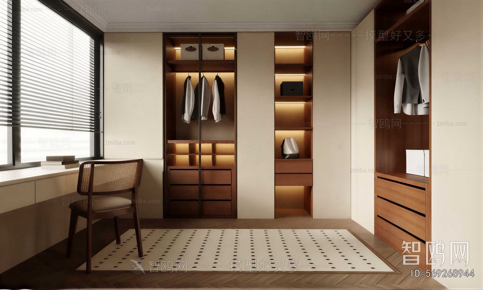 Modern Clothes Storage Area