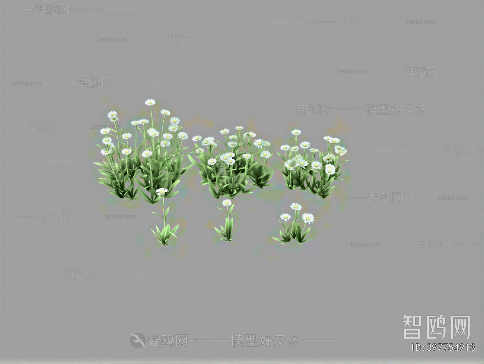 Modern Flowers And Grass