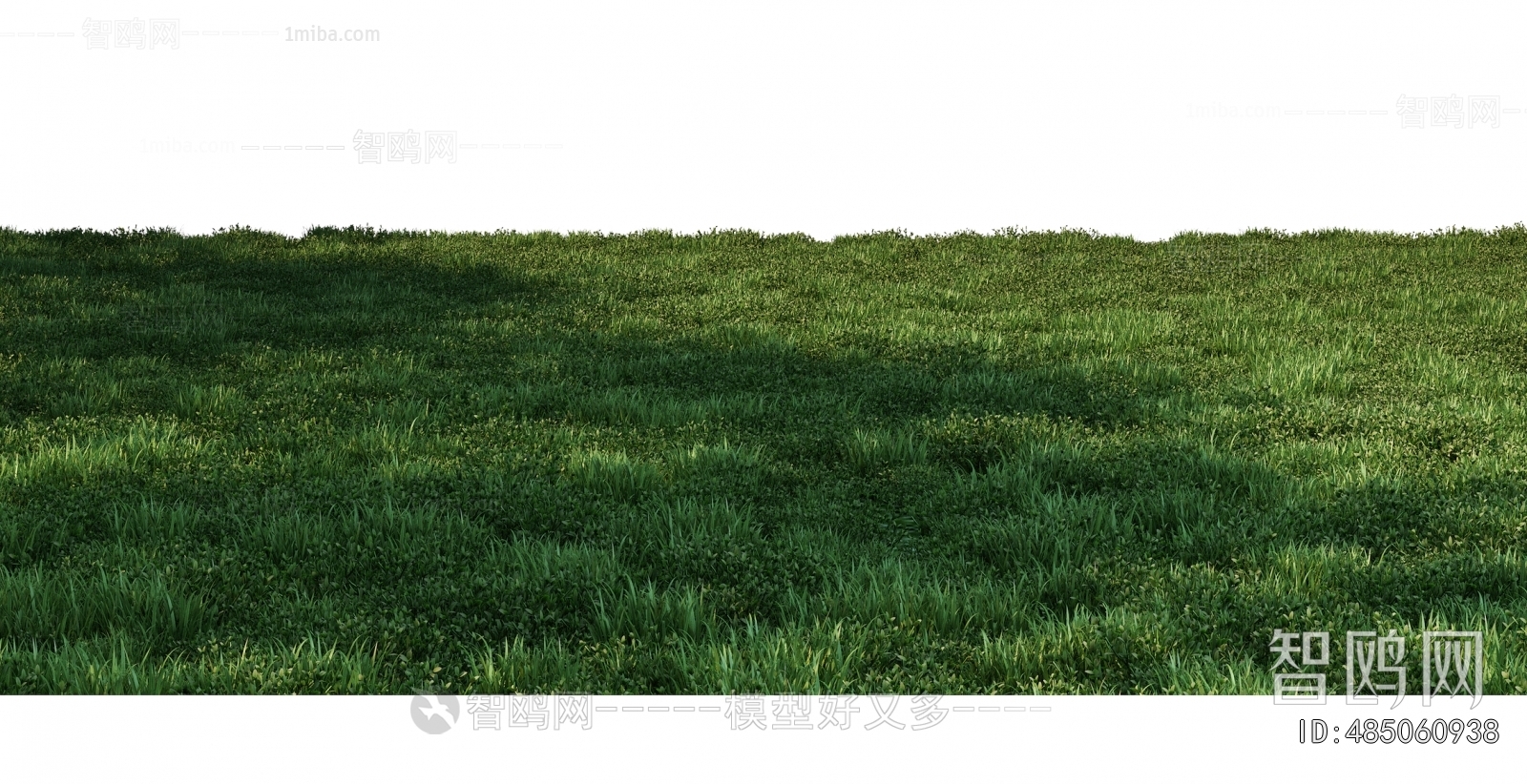 Grass