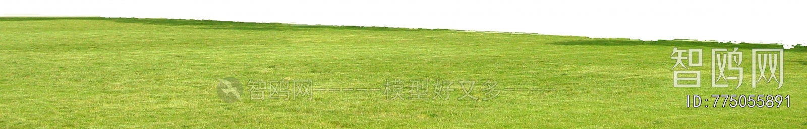 Grass
