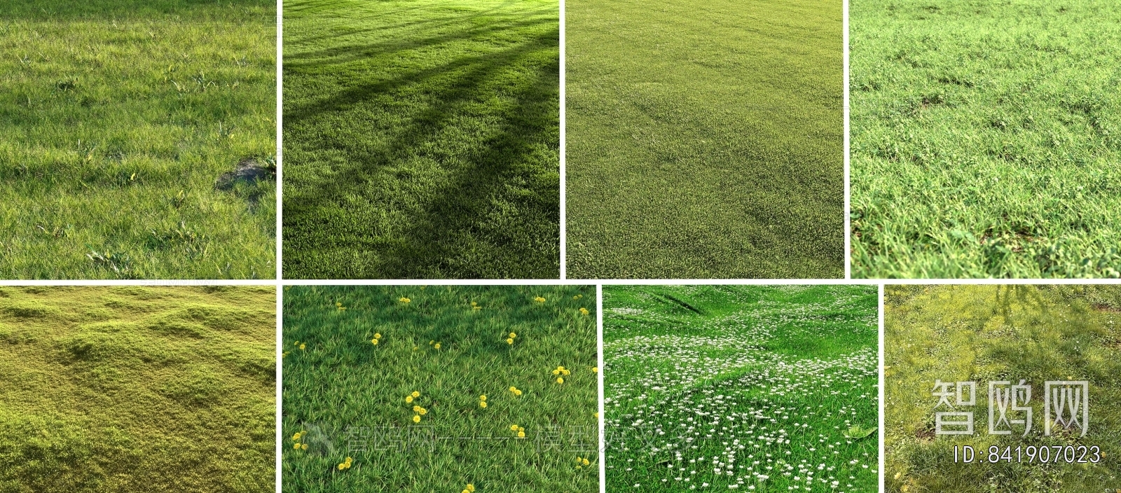 Grass