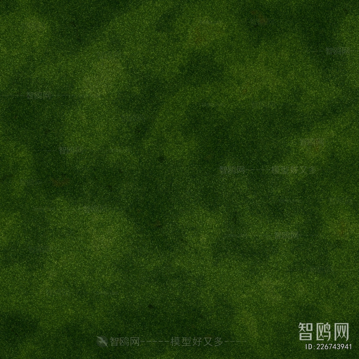 Grass