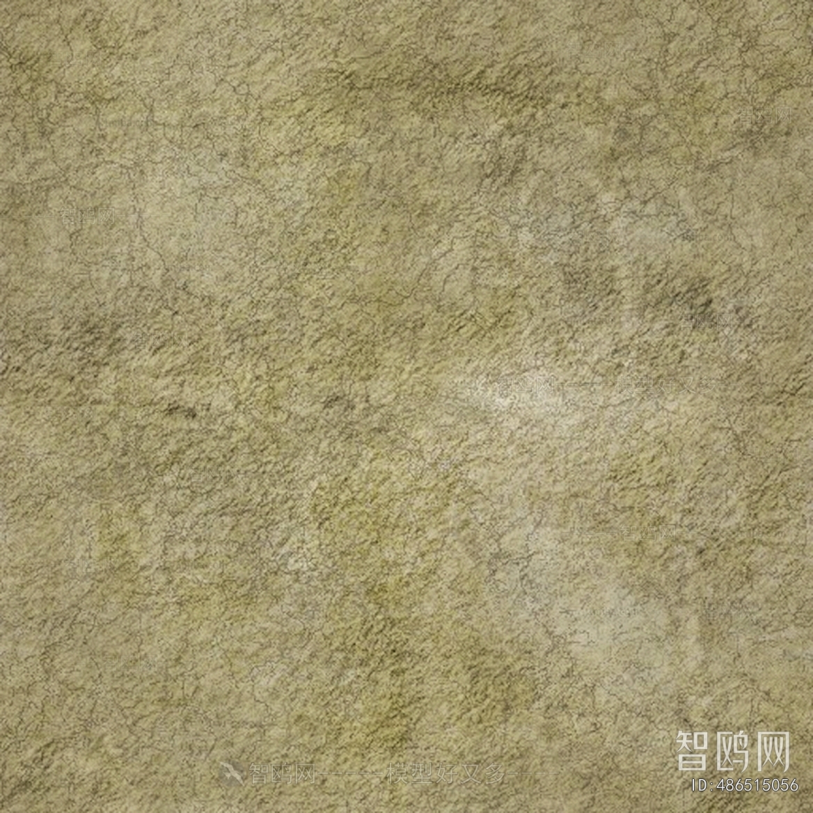 Grass