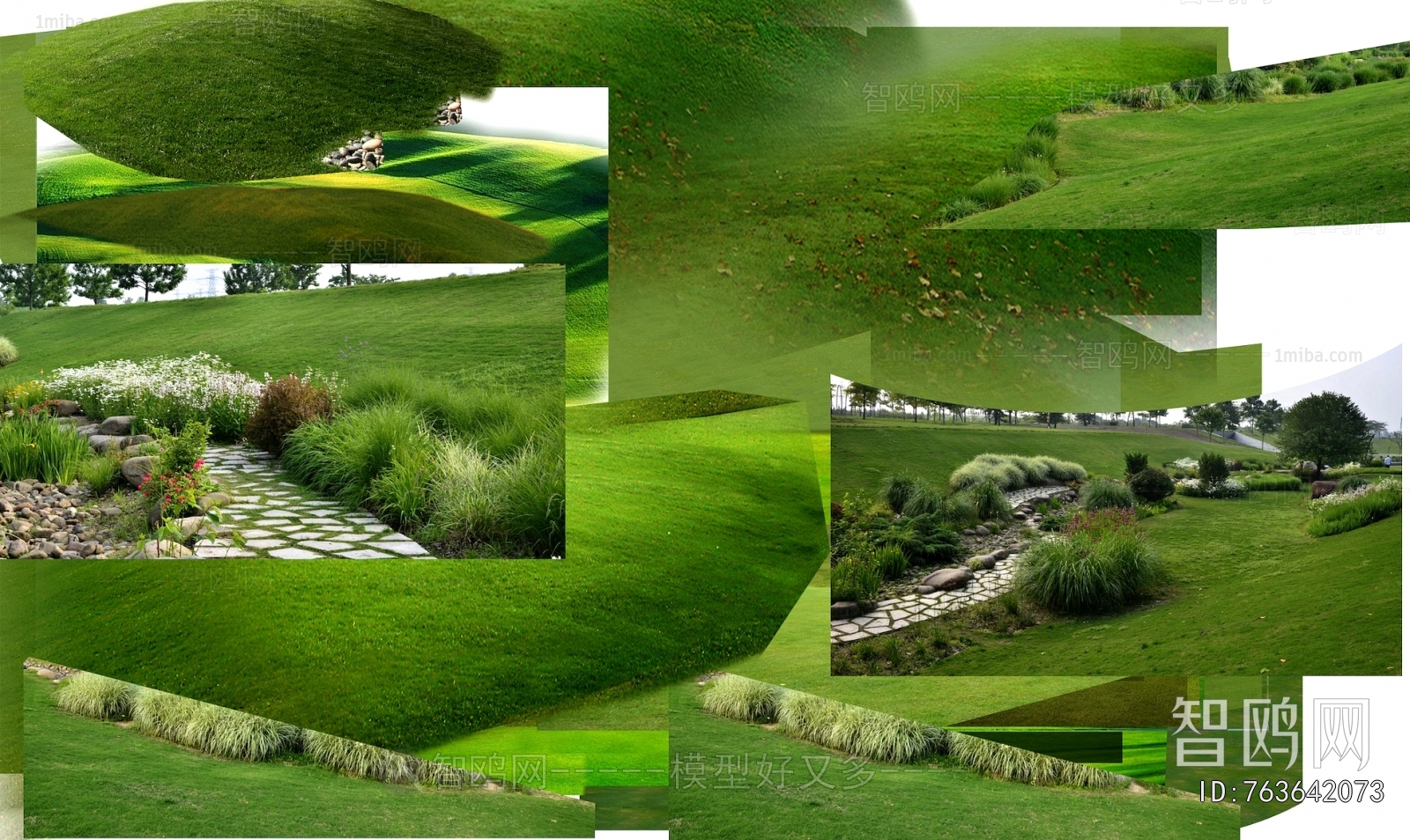 Grass