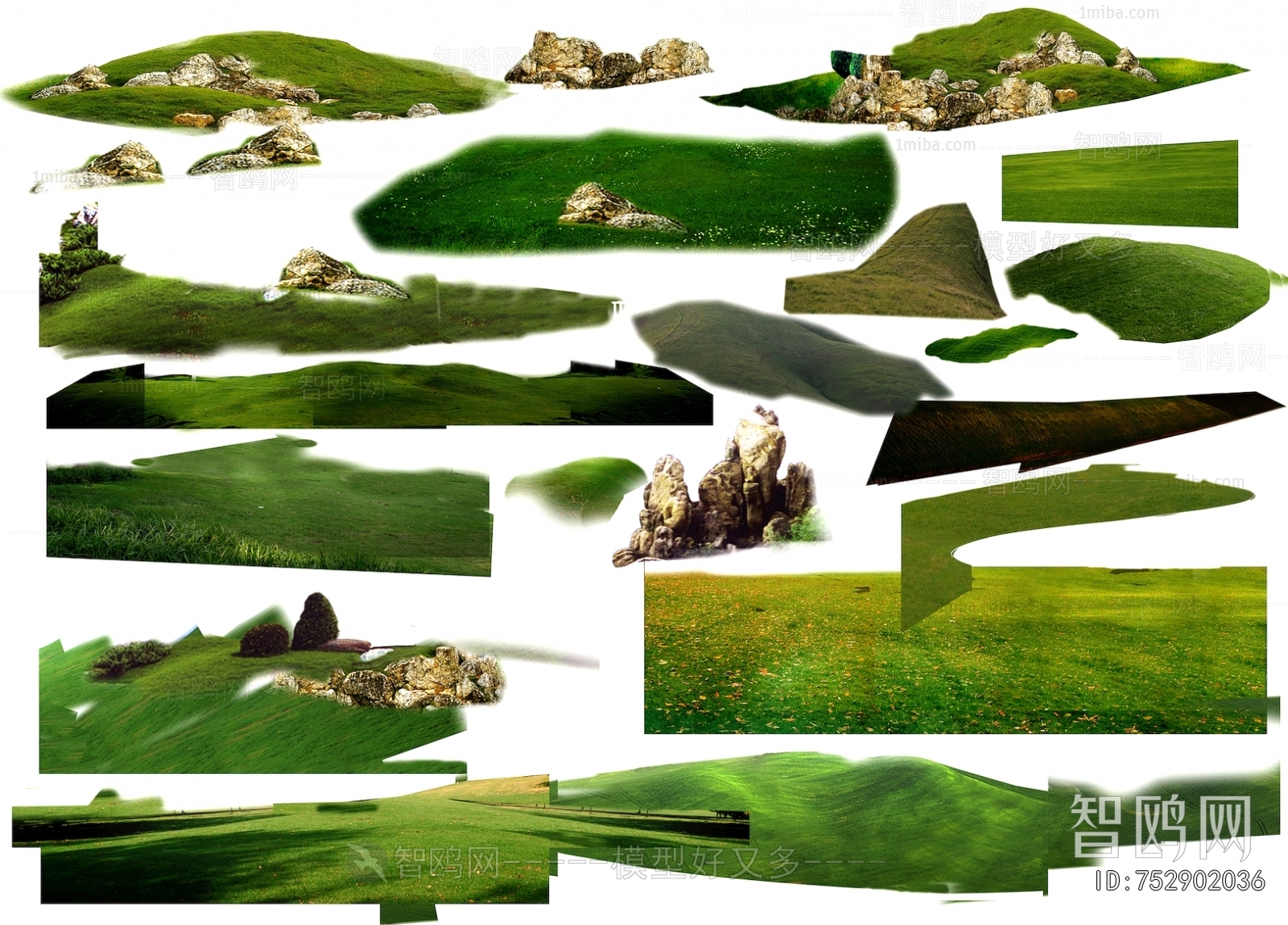 Grass