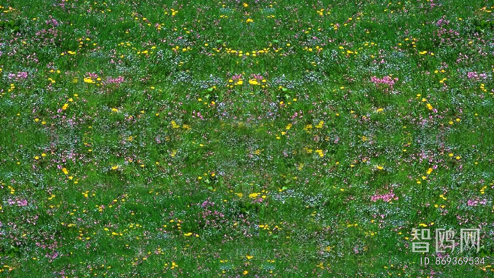 Grass