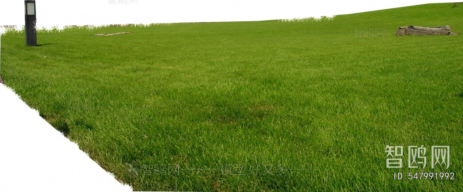 Grass