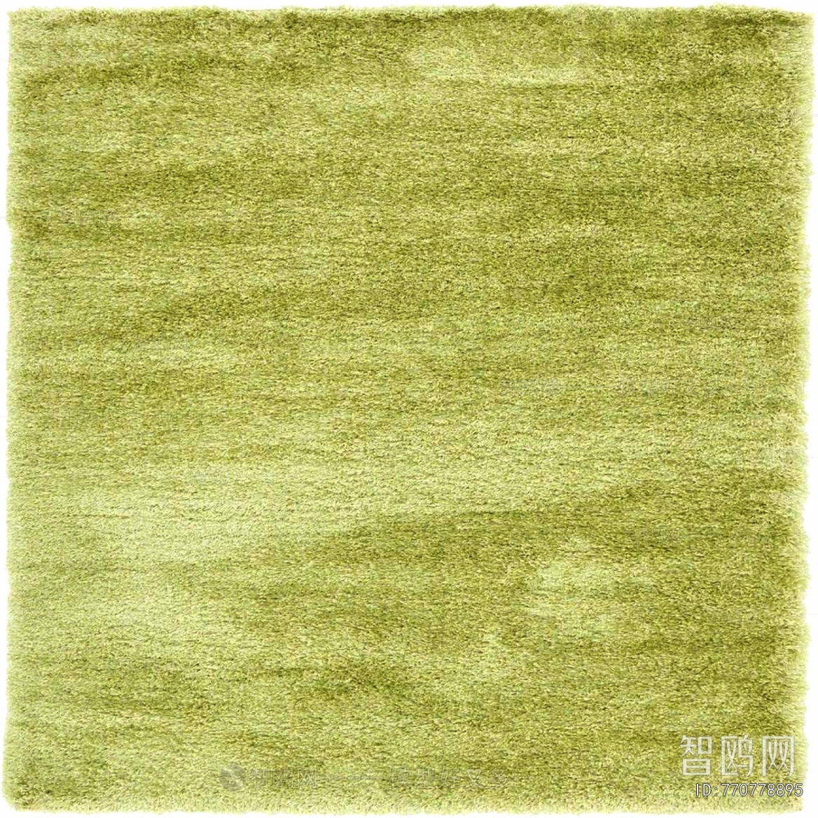 Grass