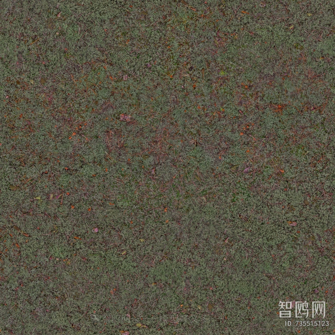 Grass