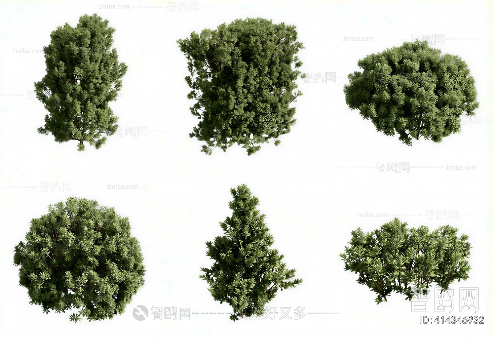 Modern Shrubbery